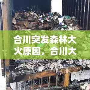 司空见惯 第3页