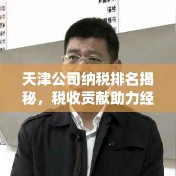 天津公司纳税排名揭秘,税收贡献助力经济发展双翼腾飞