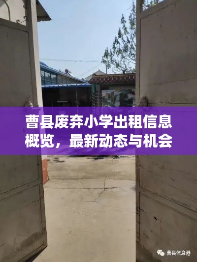 曹县废弃小学出租信息概览，最新动态与机会探索