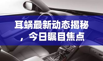 耳蜗最新动态揭秘,今日瞩目焦点