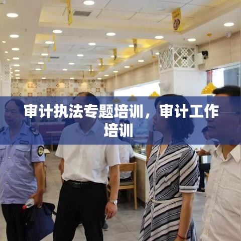 审计执法专题培训,审计工作培训