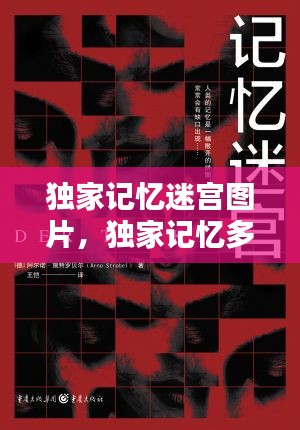 独家记忆迷宫图片,独家记忆多少钱