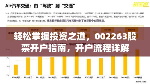 轻松掌握投资之道,002263股票开户指南,开户流程详解