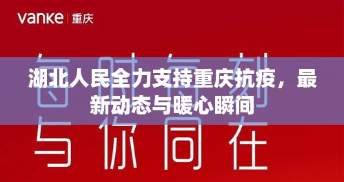 湖北人民全力支持重庆抗疫,最新动态与暖心瞬间