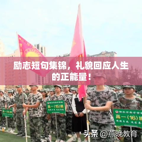 励志短句集锦,礼貌回应人生的正能量!