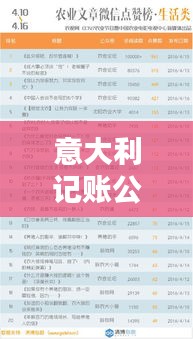 意大利记账公司排名揭晓，权威榜单助你快速了解行业佼佼者