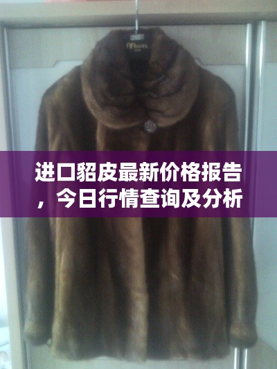 十年磨剑 第3页