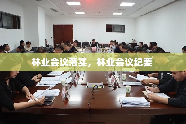 林业会议落实,林业会议纪要