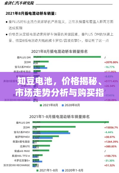 知豆电池，价格揭秘、市场走势分析与购买指南
