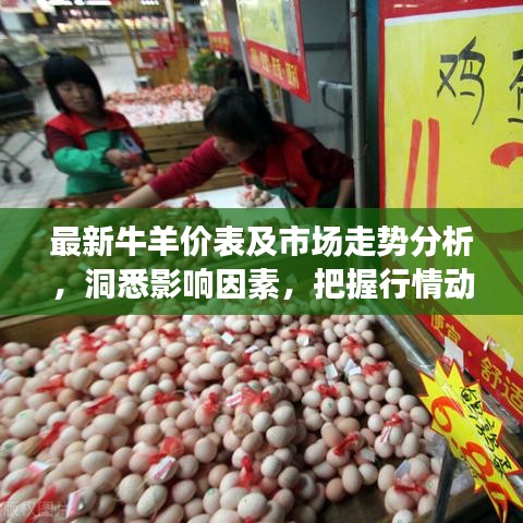 最新牛羊价表及市场走势分析,洞悉影响因素,把握行情动态