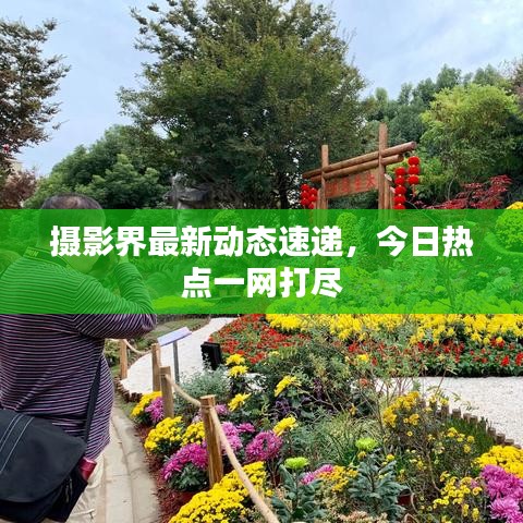 摄影界最新动态速递,今日热点一网打尽