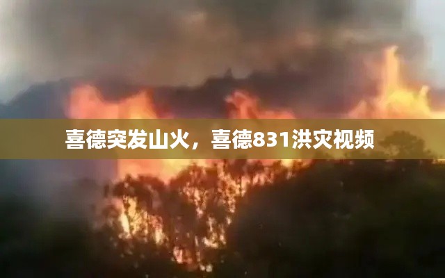 联系方式 第104页