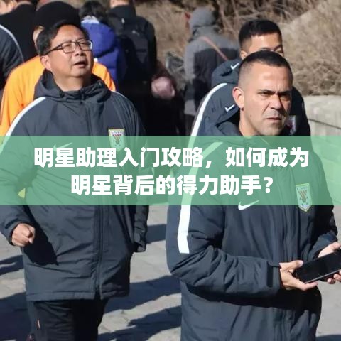 明星助理入门攻略,如何成为明星背后的得力助手?