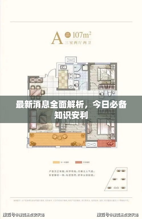 最新消息全面解析，今日必备知识安利
