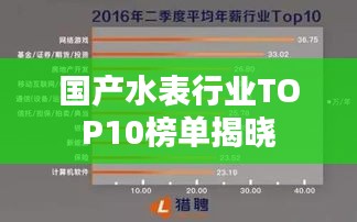 国产水表行业TOP10榜单揭晓