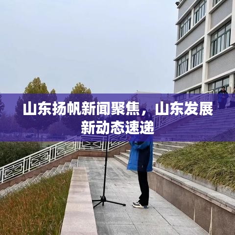 山东扬帆新闻聚焦,山东发展新动态速递
