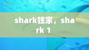 shark独家,shark 1