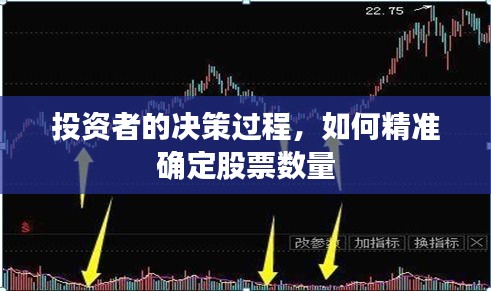 投资者的决策过程，如何精准确定股票数量
