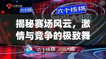 揭秘赛场风云，激情与竞争的极致舞台