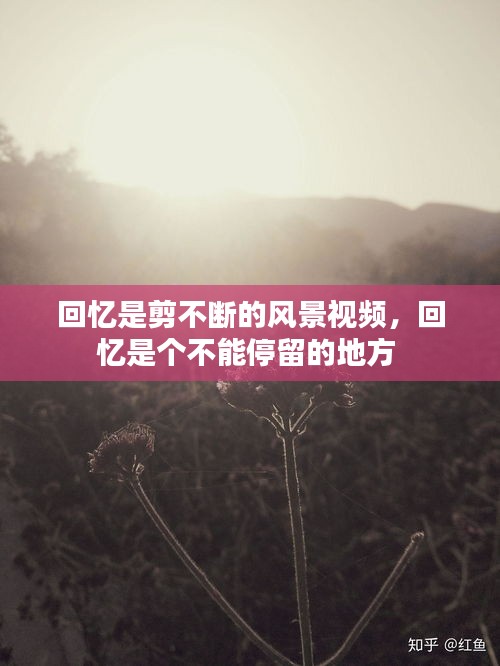 优势与实力 第94页