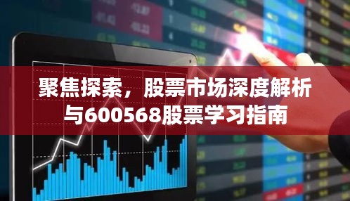 聚焦探索，股票市场深度解析与600568股票学习指南