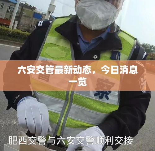六安交管最新动态,今日消息一览