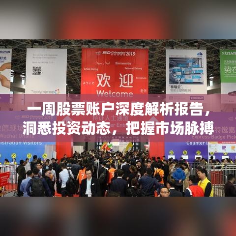一周股票账户深度解析报告,洞悉投资动态,把握市场脉搏