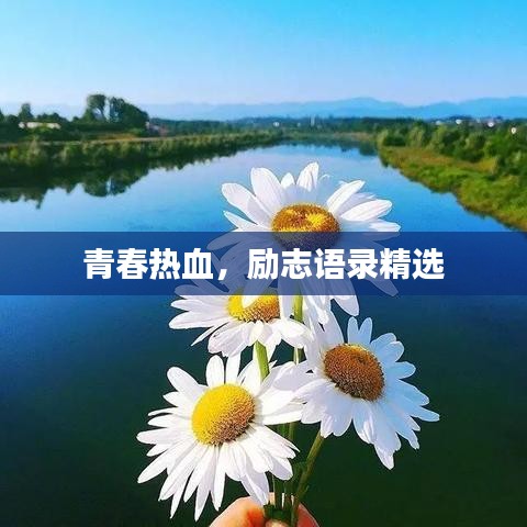 青春热血,励志语录精选