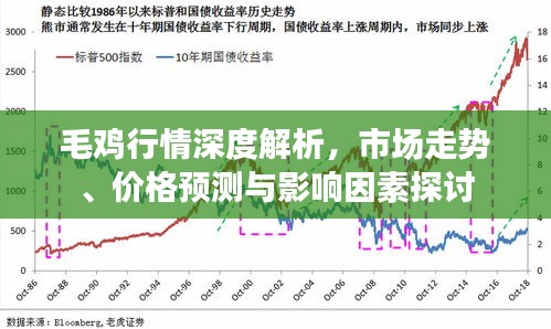 毛鸡行情深度解析,市场走势、价格预测与影响因素探讨