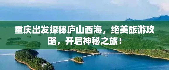 联系方式 第81页