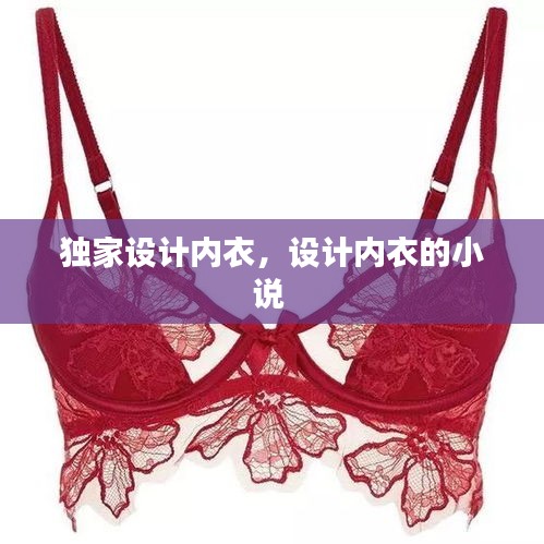 独家设计内衣,设计内衣的小说