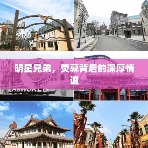 明星兄弟,荧幕背后的深厚情谊