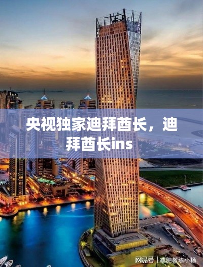 央视独家迪拜酋长，迪拜酋长ins 