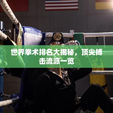 世界拳术排名大揭秘,顶尖搏击流派一览