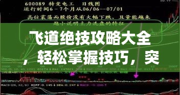飞道绝技攻略大全,轻松掌握技巧,突破困境!