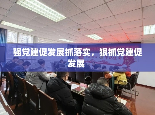 强党建促发展抓落实,狠抓党建促发展