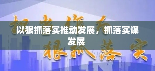 以狠抓落实推动发展,抓落实谋发展
