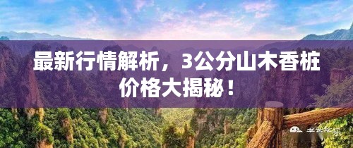 最新行情解析，3公分山木香桩价格大揭秘！