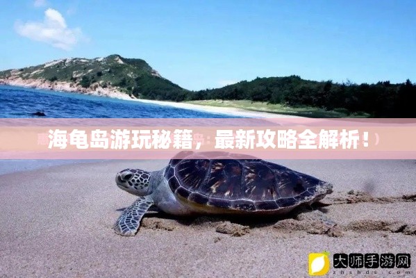 海龟岛游玩秘籍,最新攻略全解析!