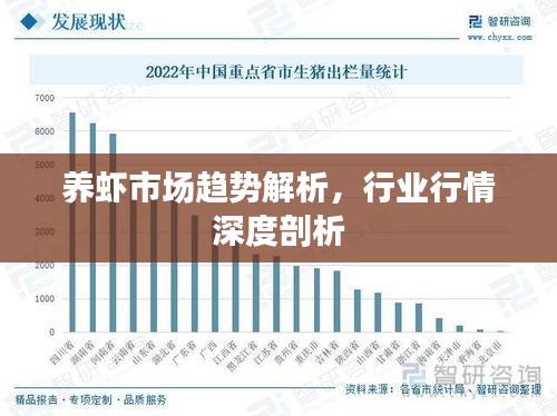 养虾市场趋势解析,行业行情深度剖析