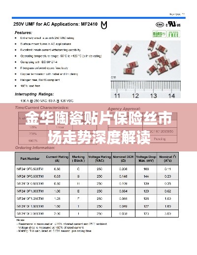 金华陶瓷贴片保险丝市场走势深度解读