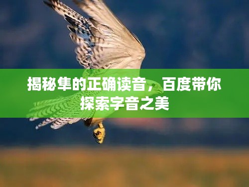 优势与实力 第70页