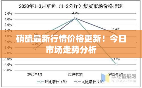 硝硫最新行情价格更新！今日市场走势分析