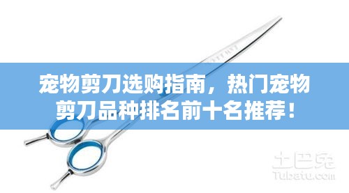 宠物剪刀选购指南，热门宠物剪刀品种排名前十名推荐！