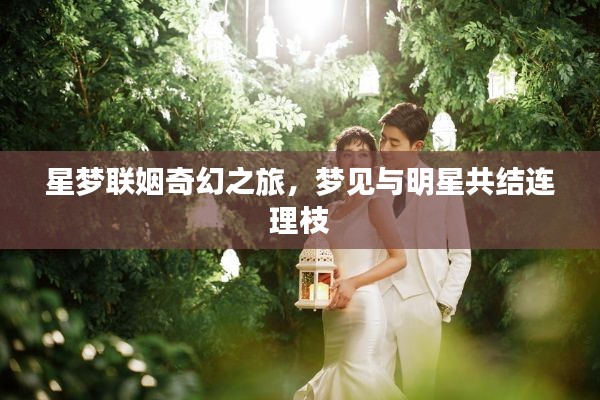 星梦联姻奇幻之旅,梦见与明星共结连理枝