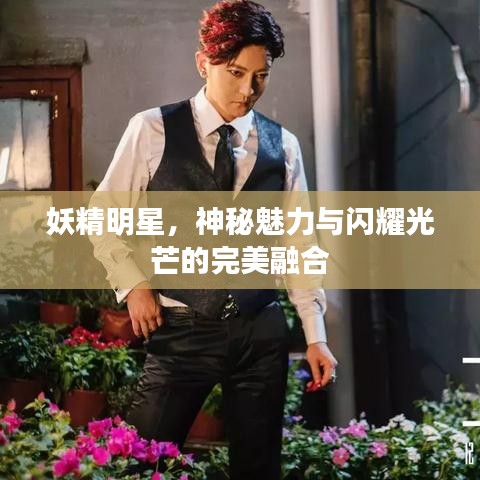 妖精明星，神秘魅力与闪耀光芒的完美融合