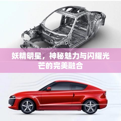 妖精明星,神秘魅力与闪耀光芒的完美融合