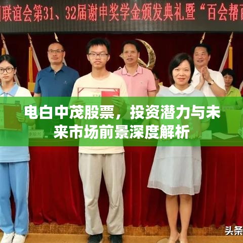 电白中茂股票，投资潜力与未来市场前景深度解析