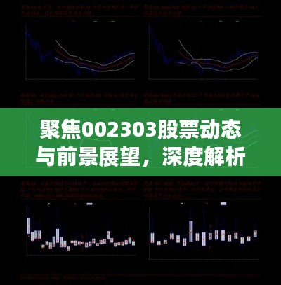 聚焦002303股票动态与前景展望,深度解析股票走势,洞悉未来投资机遇!